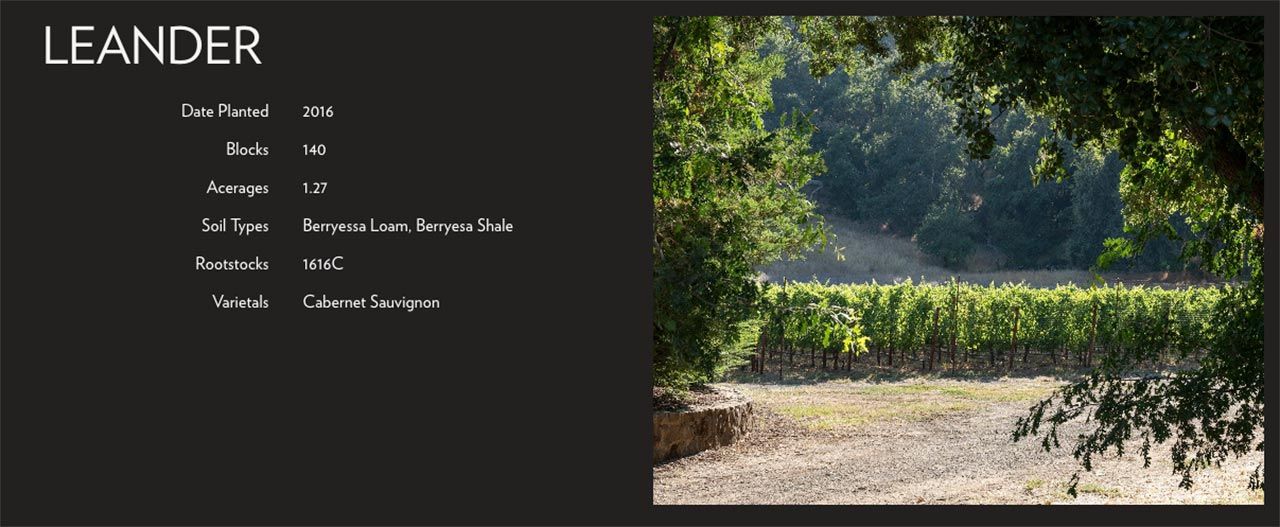 the gc fly tour microsite page for the Leander vineyard with vineyard specs and a vineyard image